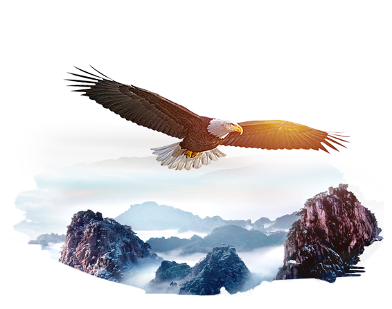 企業(yè)戰略插圖4